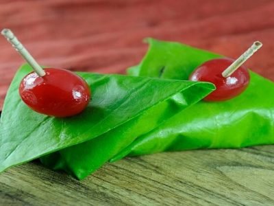 Health First | विड्याच्या पानाचे सेवन करा | हे अनेक आजार होतील दूर – नक्की वाचा