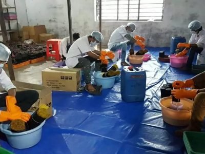 Business Idea | तरुणांनो! प्रचंड मागणीचा हा व्यवसाय सुरू करा | उद्यापासून कमाई सुरू होईल | गुंतवणुकीसह प्रोजेक्टची माहिती जाणून घ्या