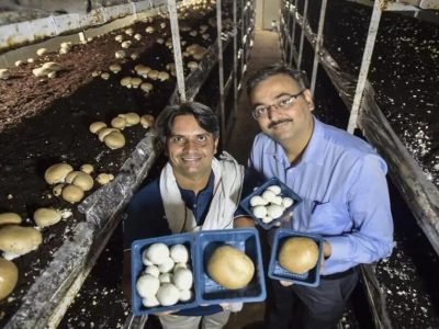 Business Idea | तरुणांनो! गाव-खेड्यात करावा असा फायद्याचा उद्योग, 1 लाख गुंतवणुकीवर दरमहा 10 लाख नफा, बिझनेस प्लॅन पहा