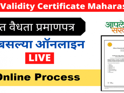 जात वैधता प्रमाणपत्रासाठी घरबसल्या ऑनलाईन अर्ज कसा करायचा? | वाचा ऑनलाईन प्रक्रिया