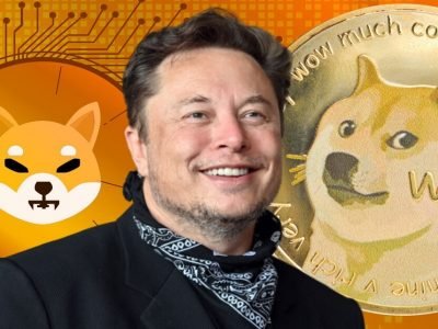 Cryptocurrency Investment | एलोन मस्क यांच्या एका ट्विटने या क्रिप्टोकरन्सीमध्ये तब्बल 4000 टक्क्यांनी वाढ