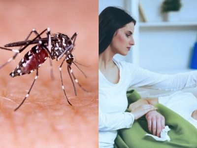 Health First | डेंग्यूची लक्षणे आणि उपचार पद्धती जाणून घ्या – नक्की वाचा