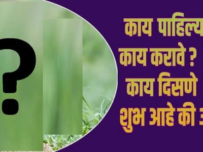 सकाळी उठल्याबरोबर या गोष्टी दिसणं हे मोठे शुभ संकेत मानले जातात | होतात मोठे फायदे – नक्की वाचा