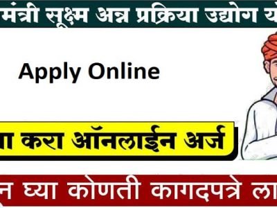 मोठी संधी | प्रधानमंत्री सूक्ष्म अन्न प्रक्रिया उद्योग योजना २०२१ | करा ऑनलाईन अर्ज