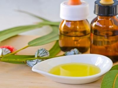 Health First | जाणून घ्या निलगिरी तेलाचे आरोग्यदायी फायदे