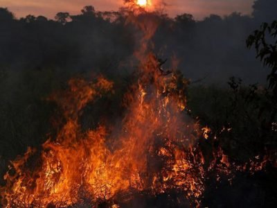 Huge fire to cashew plants in Sindhudurg