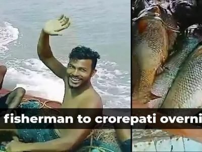 पालघरच्या मच्छीमारची घोळ माशामुळे लॉटरी | एका दिवसात एवढ्या कोटींचा लिलाव