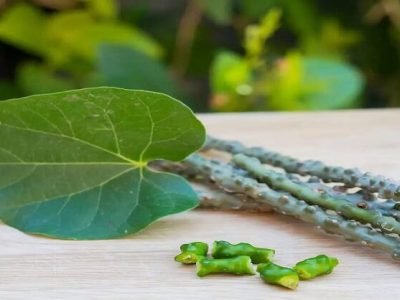 Health First | गुळवेल खाण्याचे फायदे | आयुर्वेदात खुप मोलाचे स्थान