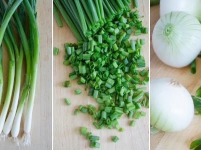 Health First | जाणून घ्या कांद्याची पात खाण्याचे आरोग्यदायी फायदे । नक्की वाचा