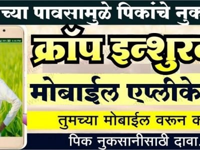 सततच्या पावसाने पिकांचं नुकसान? | ही PDF पाहात मोबाइलवरूनच ऑनलाईन पिक नुकसानभरपाईसाठी दावा करा