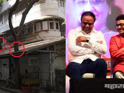 शिवाजी पार्कातली काय, इथे कृष्णकुंज’च्या आतली झाडं पण जपली आहेत: शेलारांना नेटिझन्सच उत्तर