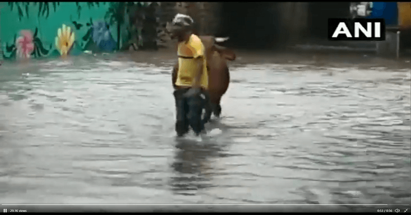 Mumbai Rain