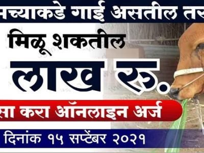 शेतकऱ्यांनो | तुमच्याकडे स्वदेशी गाई आहेत? | तर मिळू शकतील ५ लाख | वाचा, असा ऑनलाईन अर्ज करा