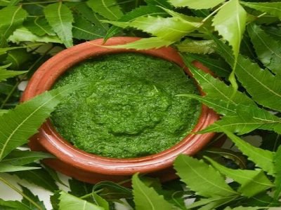 Health First | कडुलिंबाच्या पाण्याने अंघोळ करण्याचे फायदे – नक्की वाचा