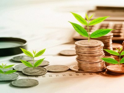 Nippon India Value Fund | निप्पॉन इंडिया व्हॅल्यू फंडाने 1 वर्षात 46 टक्के रिटर्न दिला | नफ्याची बातमी वाचा