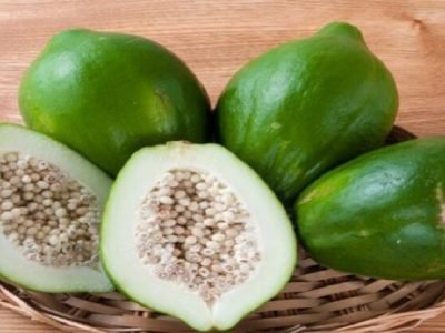 Health First | संधिवातावर रामबाण उपाय आहे कच्च्या पपईचा चहा | वाचा फायदे