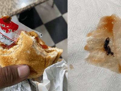 बर्गरमध्ये होता विंचू | बर्गरचा अर्धा भाग खाल्ल्यानंतर तरुणाला समजले | इस्पितळात दाखल