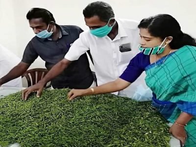 Starting Own Business | 2 लाख गुंतवून हा व्यवसाय सुरू करा | 10 महिन्यांनंतर 12 लाखांपर्यंत कमाई शक्य