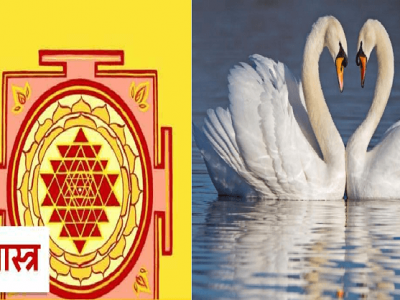 Vastu Tips | बेडरुममध्ये हंसांच्या जोडीचा फोटो लावल्यास होतात अनेक फायदे – नक्की वाचा Vastu Tips | बेडरुममध्ये हंसांच्या जोडीचा फोटो लावल्यास होतात अनेक फायदे – नक्की वाचा