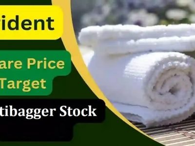 Trident Share Price | संयम पाळल्यास 37 रुपयाचा ट्रायडेंट शेअर आयुष्य बदलेल, यापूर्वी मल्टिबॅगर परतावा दिला, पुढे सुपर मल्टिबॅगर होईल