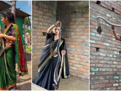 Viral Video | साप पकडण्यासाठी येते ‘साडी गर्ल’, विषारी साप पकडताना नेसते साडी, नेमकी कोण पाहूया – Marathi News