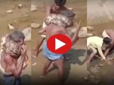 Viral Video | या व्यक्तीवर अजगराचा हल्ला, मानेभोवती वेटोळे घालून जिवंत गिळण्याचा प्रयत्न, व्हिडिओ व्हायरल