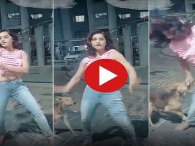 Viral Video | ती ‘जरा जरा किस मी किस मी’ गाण्यावर डान्स रिल्स रेकॉर्ड करत होती, ते पाहून कुत्रा जवळ आला अन असं झालं पहा