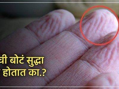 Health First | खूप वेळ पाण्यात राहिल्यास तुमच्याही बोटांना सुरकुती पडतात? | मग हे नक्की वाचा