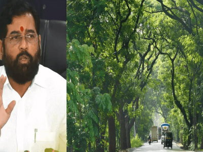 Save Aarey Forest | आरे जंगल वाचवण्यासाठी तरुणांची पुन्हा आंदोलनाची तयारी | शिंदे सरकार विरोधात संताप वाढणार