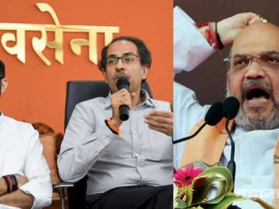 पवारांनी शिवसेनेसमोर मुख्यमंत्रिपदाचे दाणे टाकले आणि त्यांनी ते टिपले: अमित शहा