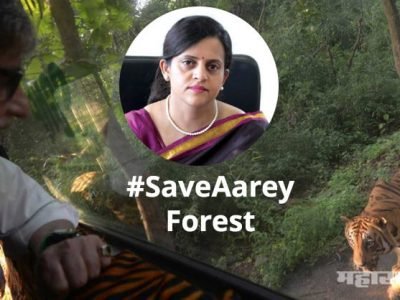 अमिताभ यांचं प्रवास सुलभेतेवरून मेट्रोसंदर्भात ट्विट; अश्विनी भिडेंनी जोडलं ‘आरे ऐका ना’सोबत