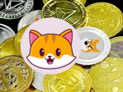 Catecoin Crypto | डॉगेकॉइन नंतर कॅटेकॉइन क्रिप्टो आली | आताच गुंतवणूक केली तर करोडपती व्हाल