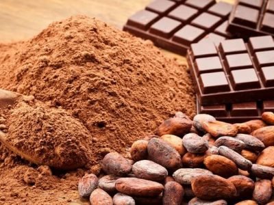 Health First | कोको पावडरचे आरोग्यासाठी फायदे माहित आहेत का? – वाचा सविस्तर