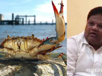 धरणक्षेत्रातील खेकड्यांसंबंधित अहवाल मागवला; विधानसभेपूर्वी नव्या ‘टेंडरला’ तोंड फुटण्याची शक्यता