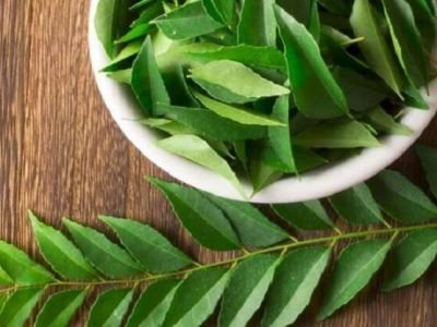 Health First | कढीपत्ता तुमचं सौंदर्य वाढवायला करेल मदत | वाचा सविस्तर