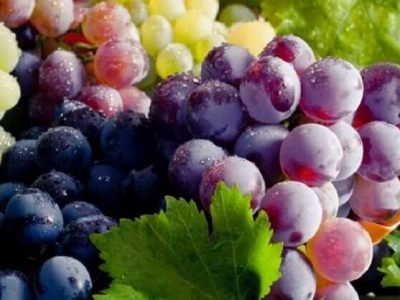 Health First | द्राक्षे आहेत आरोग्यास लाभदायी। नक्की वाचा