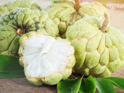 Health Benefits of Custard Apple | सीताफळ खाण्याचे आरोग्यदायी फायदे | नक्की जाणून घ्या