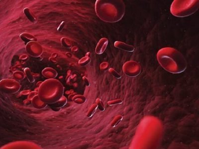 Health first | शरीरातील हिमोग्लोबिन वाढवण्यासाठी करा हे उपाय। नक्की वाचा