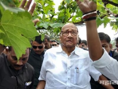 नाशिक: पवारांकडून जिल्ह्यातील पिकांच्या नुकसानीची पाहणी; शेतकऱ्यांच्या भेटीगाठी