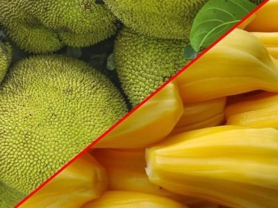 Health First | वरून काटेरी असणाऱ्या फणसाचे आहेत हे फायदे । नक्की वाचा