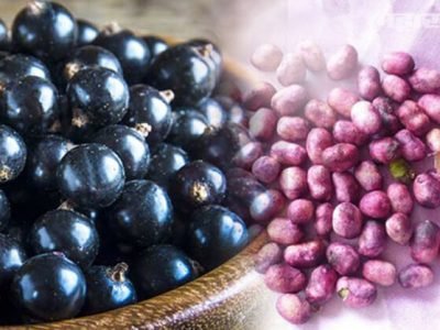 Health First | जांभूळाच्या बियांचे सेवन | दूर होतील मोठे ‘हे’ विकार