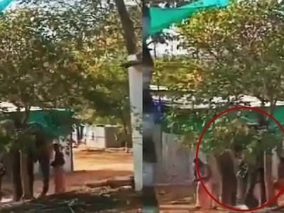 VIDEO | माणुसकी संपली का ? हत्तीला निर्दयीपणे मारहाण