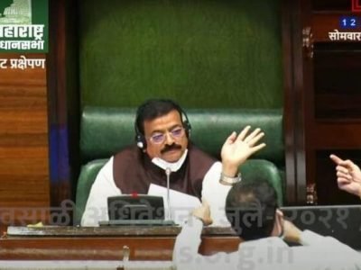 OBC राजकीय आरक्षण | इंपेरिकल डेटा केंद्राचा की राज्याकडून? | विधानसभेत धक्काबुक्की