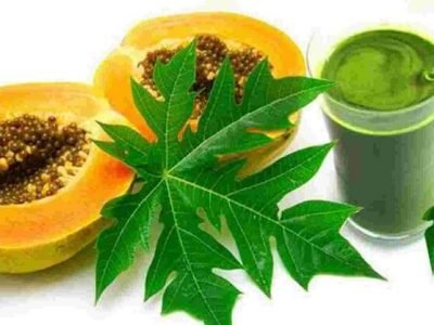 Papaya Leaf Juice on Dengue | पपईच्या पानांचा रस ‘डेंग्यू’ रुग्णांसाठी फायदेशीर – नक्की वाचा