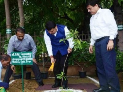 फडणवीसांच्या काळातील 33 कोटी वृक्ष लागवड मोहिमेची होणार चौकशी – उपमुख्यमंत्री