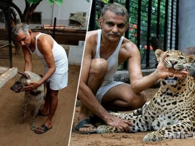 wild animals are more civilised than man