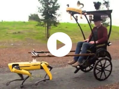 VIDEO | चक्क डॉग रोबोट चालवत आहे त्याची रिक्षा