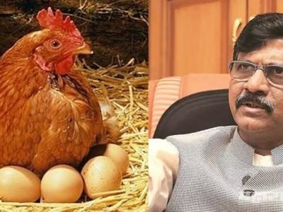 अंड आणि कोंबडीला शाकाहारीचा दर्जा मिळावा: संजय राऊतांची मागणी अंड आणि कोंबडीला शाकाहारीचा दर्जा मिळावा: संजय राऊतांची मागणी