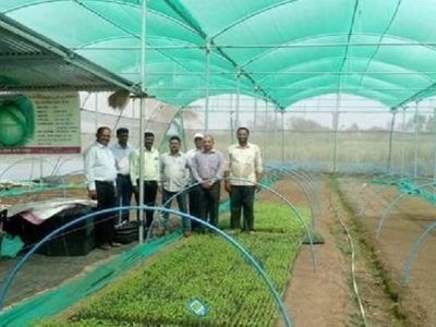 शेतकऱ्यांसाठी महत्वाची बातमी | केंद्र सरकार वाढवणार शेडनेट अनुदान | आवश्यक पात्रता वाचा