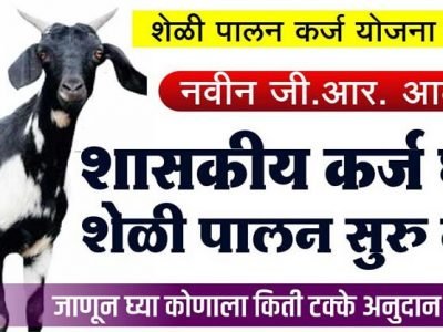 शेतकरी अन ग्रामीण बेरोजगारांसाठी | शेळी पालन शासकीय कर्ज योजना २०२१ – वाचा आणि लाभ घ्या